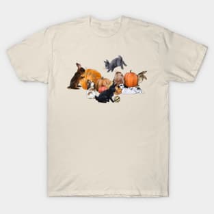 Pumpkin Bunnies T-Shirt